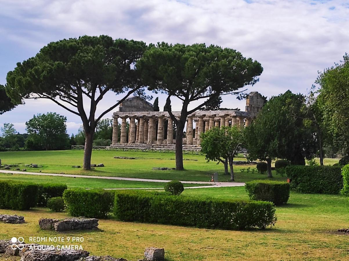 B&B Villa Di Bartolomeo 卡帕乔-帕埃斯图姆 外观 照片